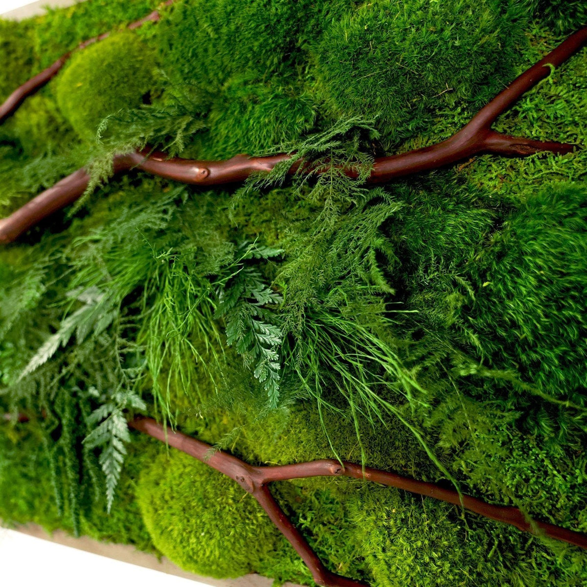 Oversized red branch wall art with moss and ferns in wood frame.