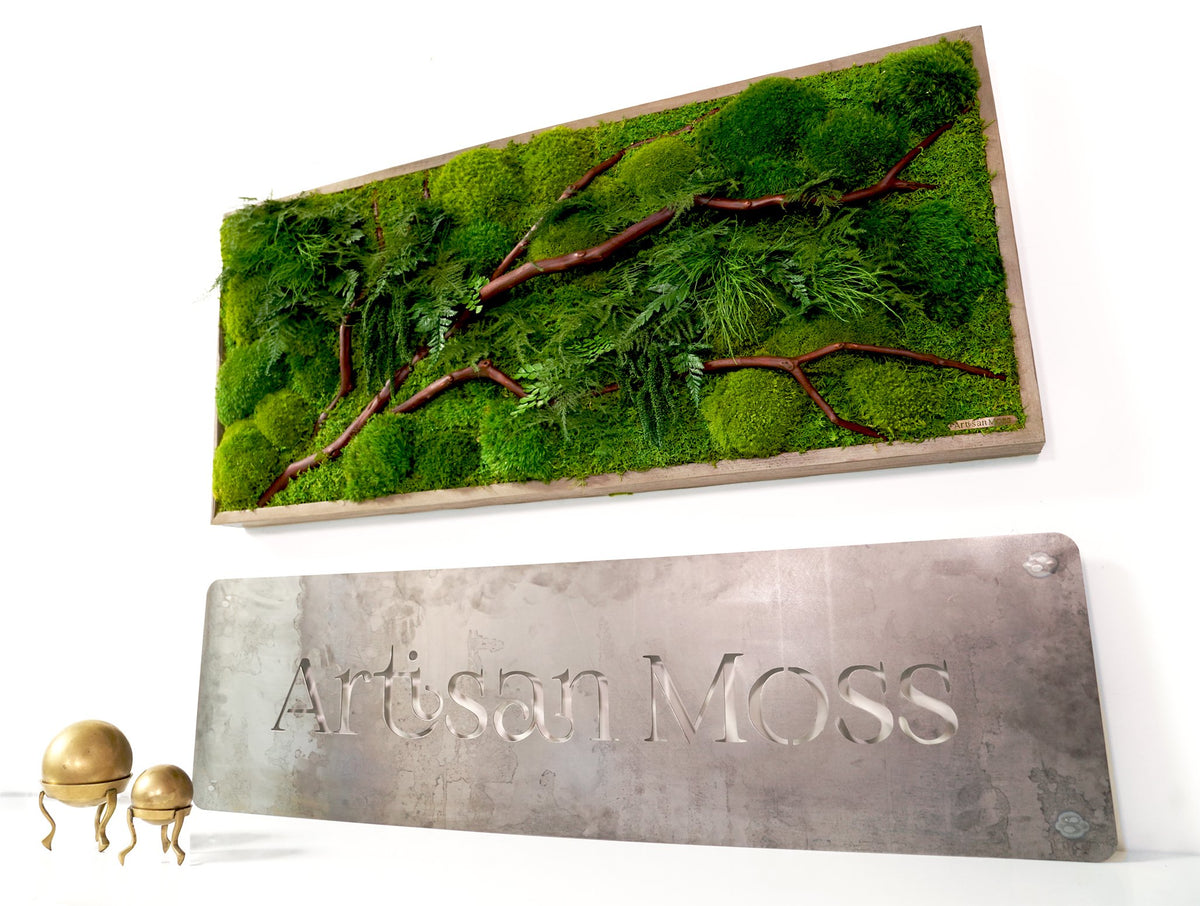 Preserved Moss Wall with Manzanita Branches, White Reindeer Moss