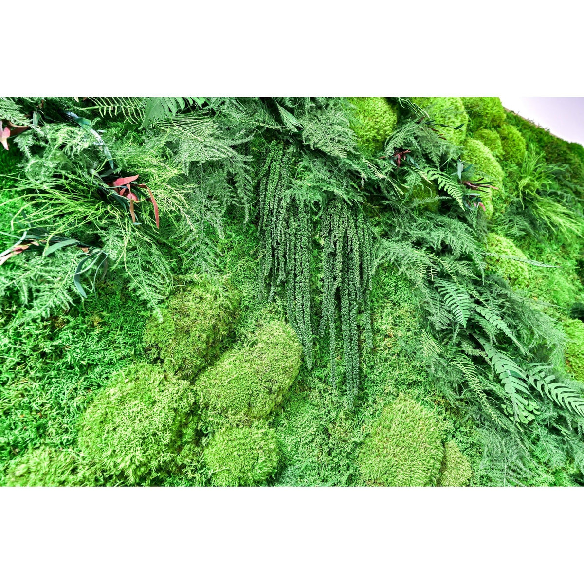 Moss and ferns oversized statement piece, 68&quot; x 68&quot;, preserved plant painting with handmade wood frame.
