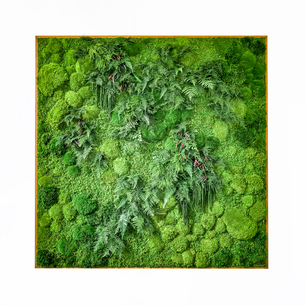 Large Preserved Living Wall 68 x 33