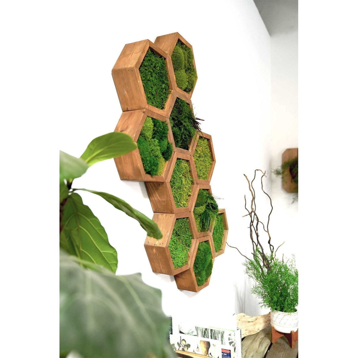 Modular hexagons with preserved moss in wooden frames as art pieces for customizable wall design.