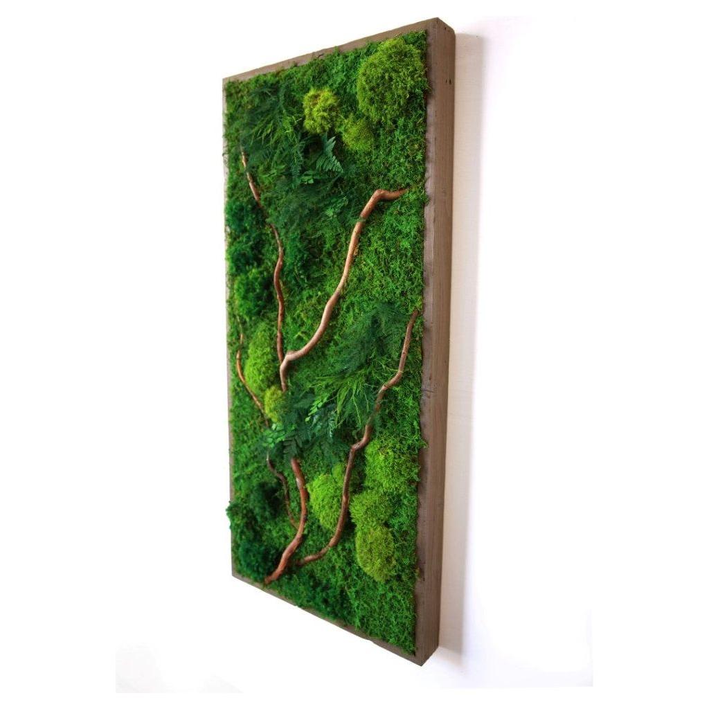 Natural barked branch plant painting with moss and ferns in a rustic grey shadow box frame.