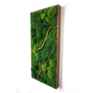 Natural Barked Branch 40” X 18”