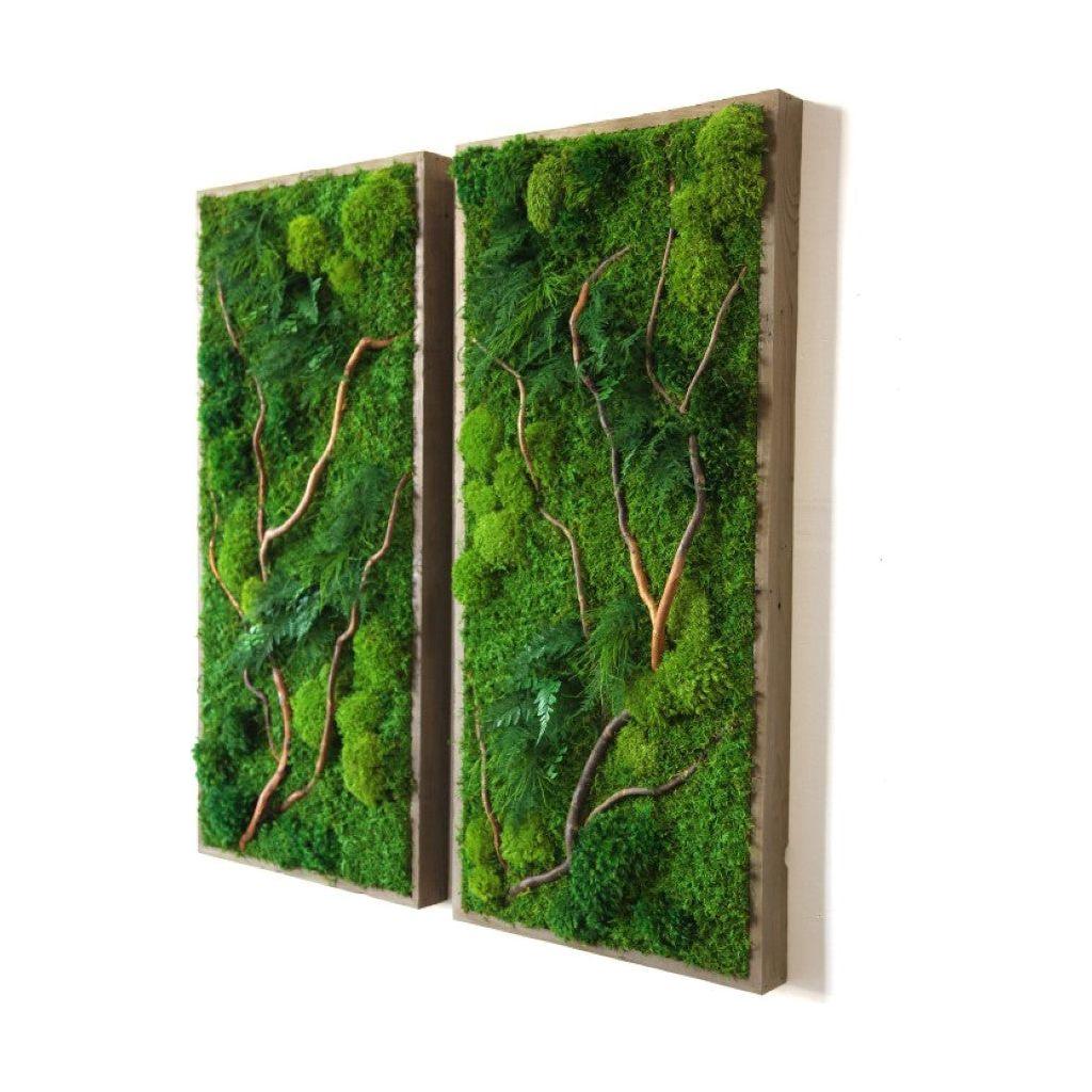 Natural barked branch 40x18 plant painting in rustic grey frame, featuring curly branches, ferns, and moss.