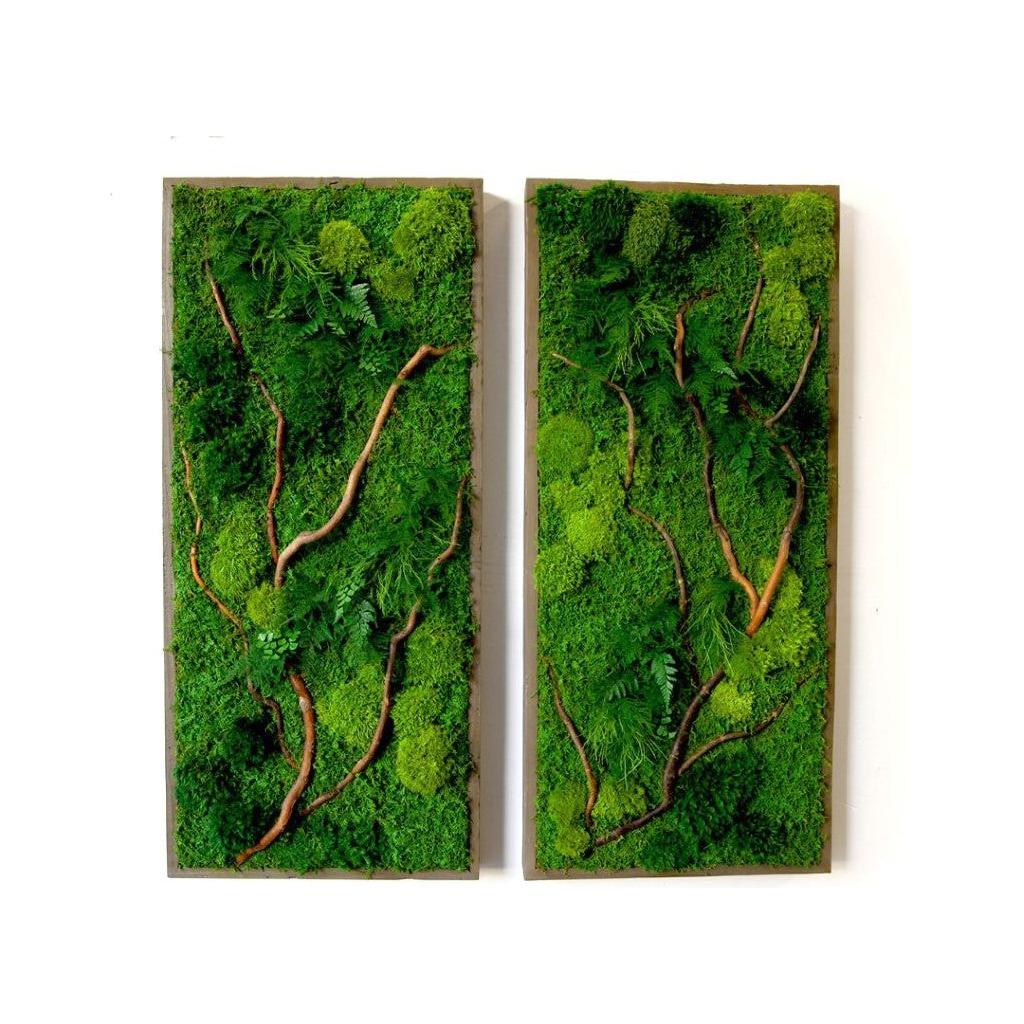 Natural barked branch plant painting with moss and ferns in rustic grey frame.