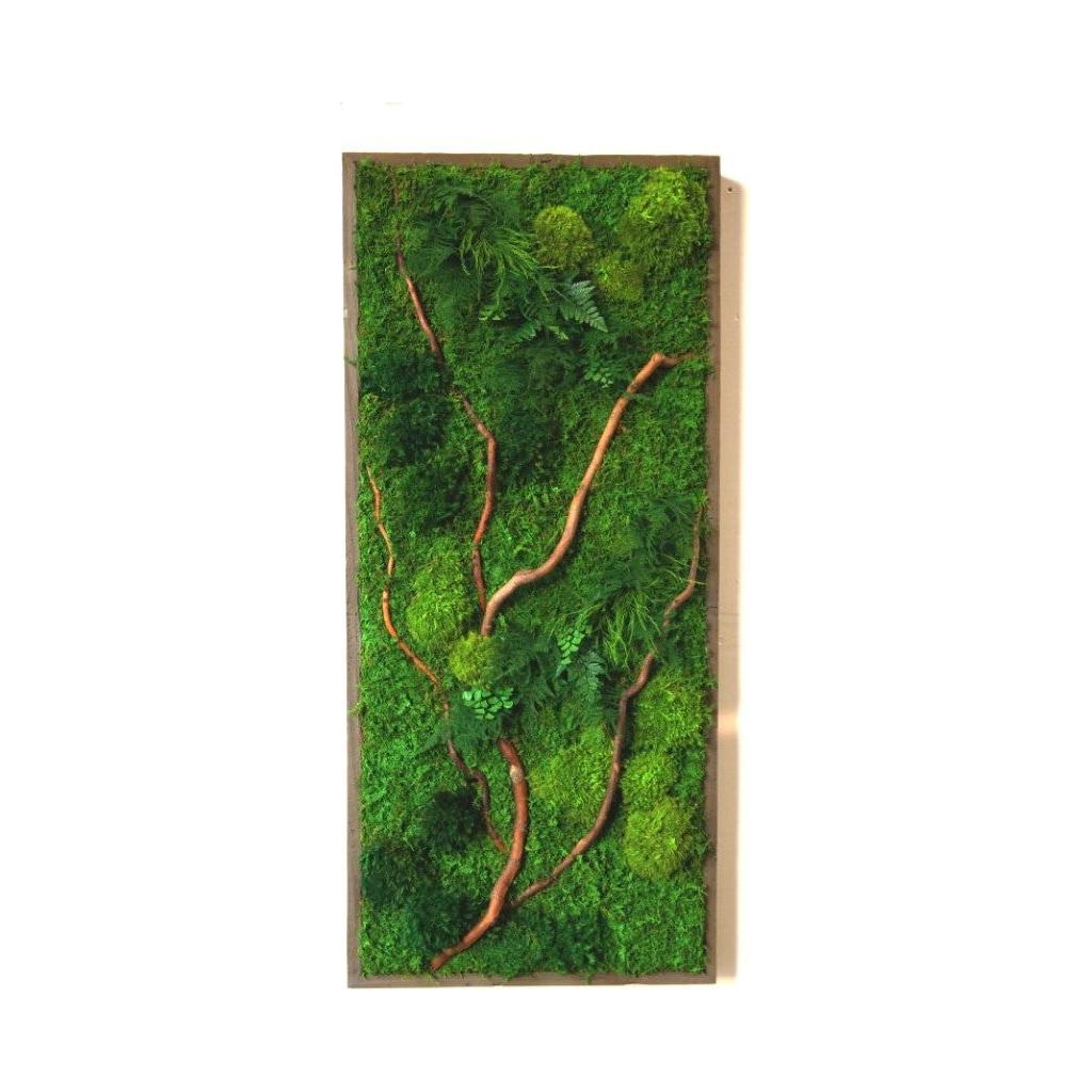 Natural barked branch in rustic frame with ferns and moss, 40” x 18” Plant Painting®.