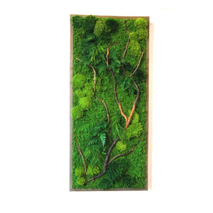 Natural Barked Branch 40” X 18”