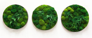 Round moss and fern wall artwork