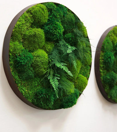 Artisan Moss | Preserved Moss Art & Custom Designed Moss Walls