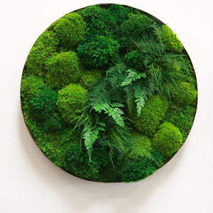 Moss and Ferns in 24"+/- Whisky Round Distressed Metal Frame