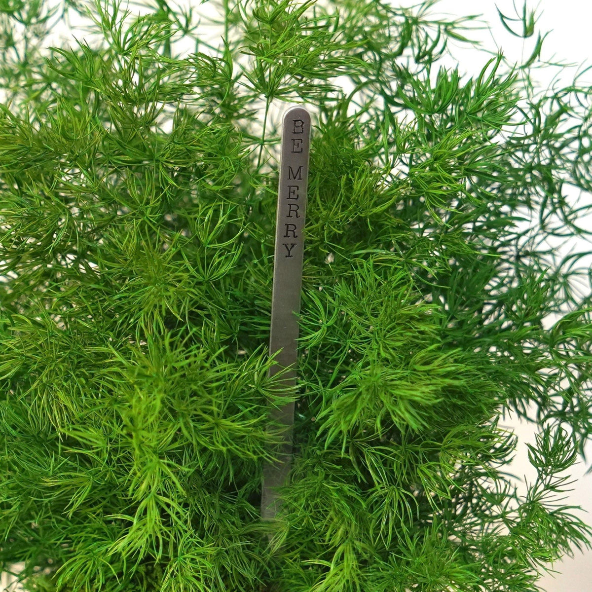 Pine Fern Kokedama with preserved moss, featuring a hand-hammered silver-toned message insert.