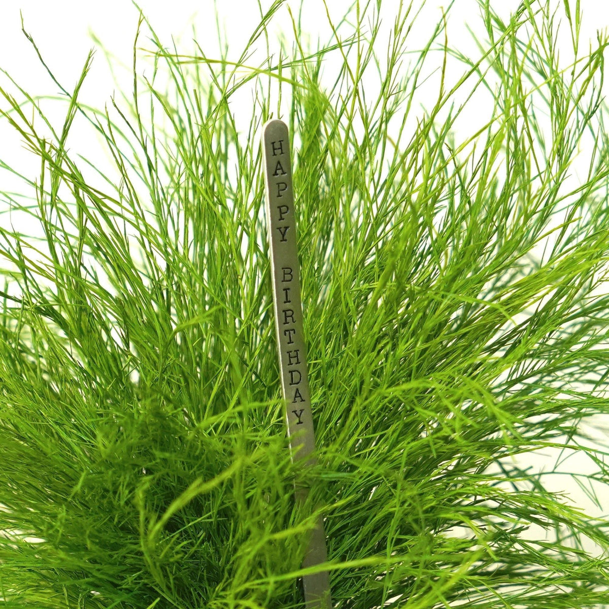 Grassy Fern Kokedama with Preserved Moss and Custom Message Sign Post.
