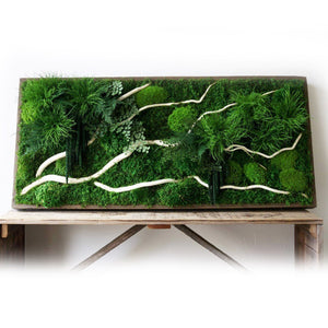moss art white winding branches and ferns