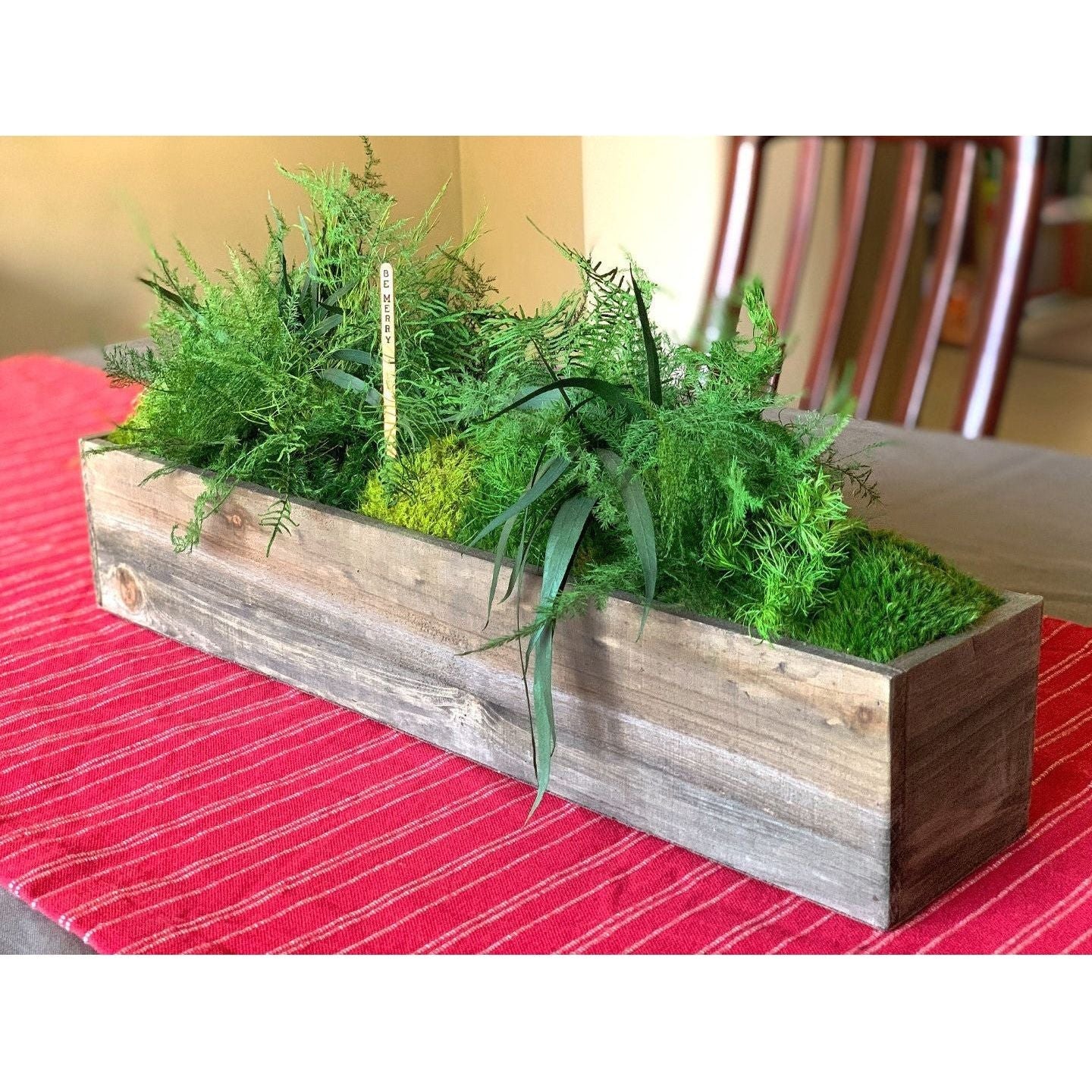 large rustic planter pots Preserved Moss & Fern Box