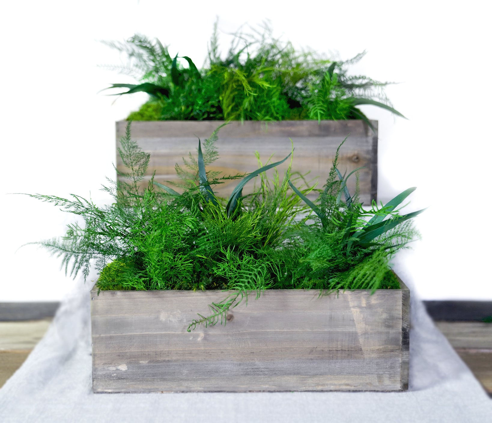 Large Wooden Planter Box with Preserved Moss and Ferns - No Watering -  Artisan Moss