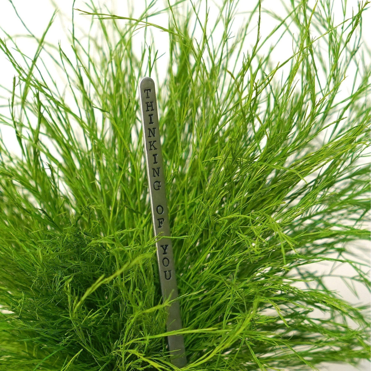 Grassy Fern Kokedama with optional silver-toned gift message post, featuring dense green fern foliage.