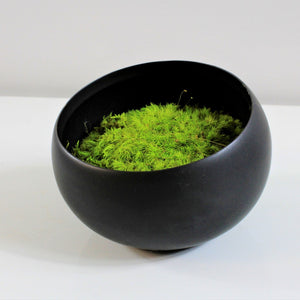 single black bowl with lime bun moss