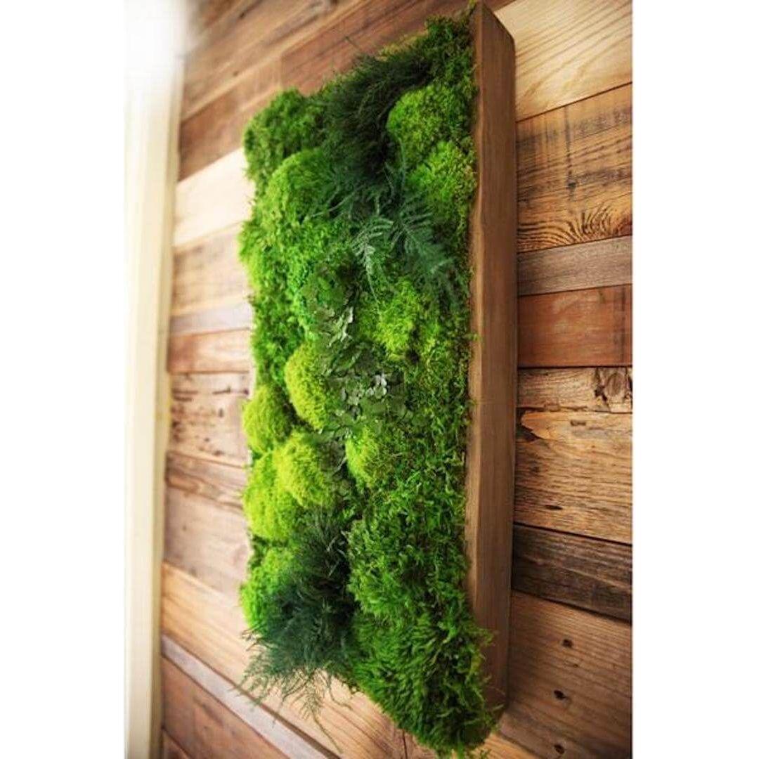 succulent moss wall art Moss Wall Art with Ferns 40" X 18" | ArtisanMoss