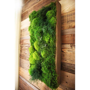 moss art with fern