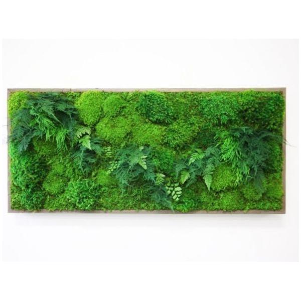 Moss & Ferns 40x18 handcrafted green wall art with natural wood frame.