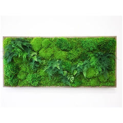 Moss & Ferns 40” X 18”