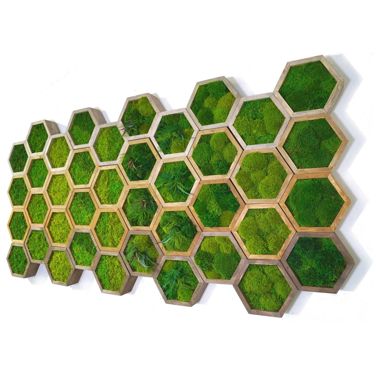 Modular hexagons wall art with preserved moss in wooden frames.