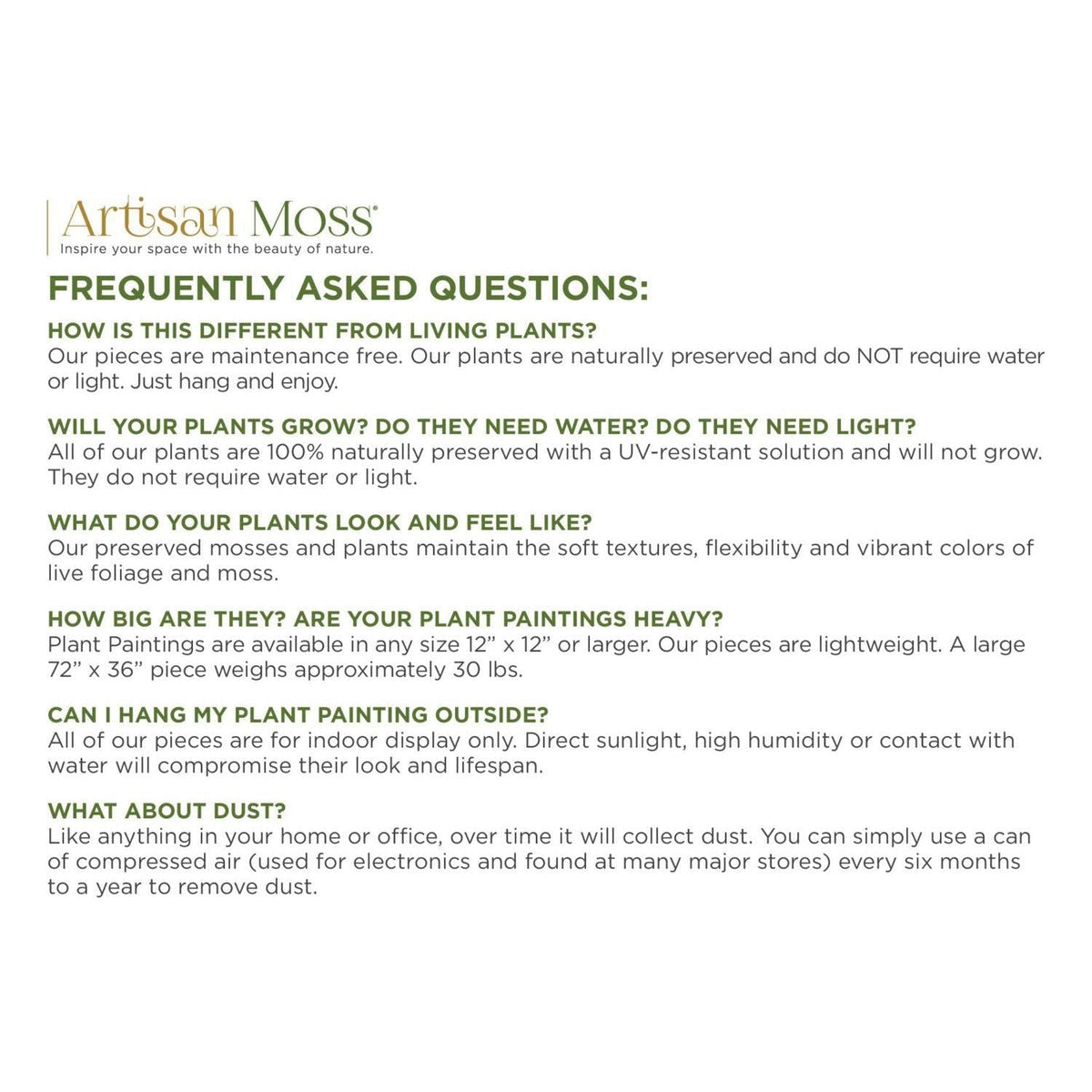 Sandwood Branch 18” x 18” Plant Painting in rustic grey wood frame with preserved moss and ferns.