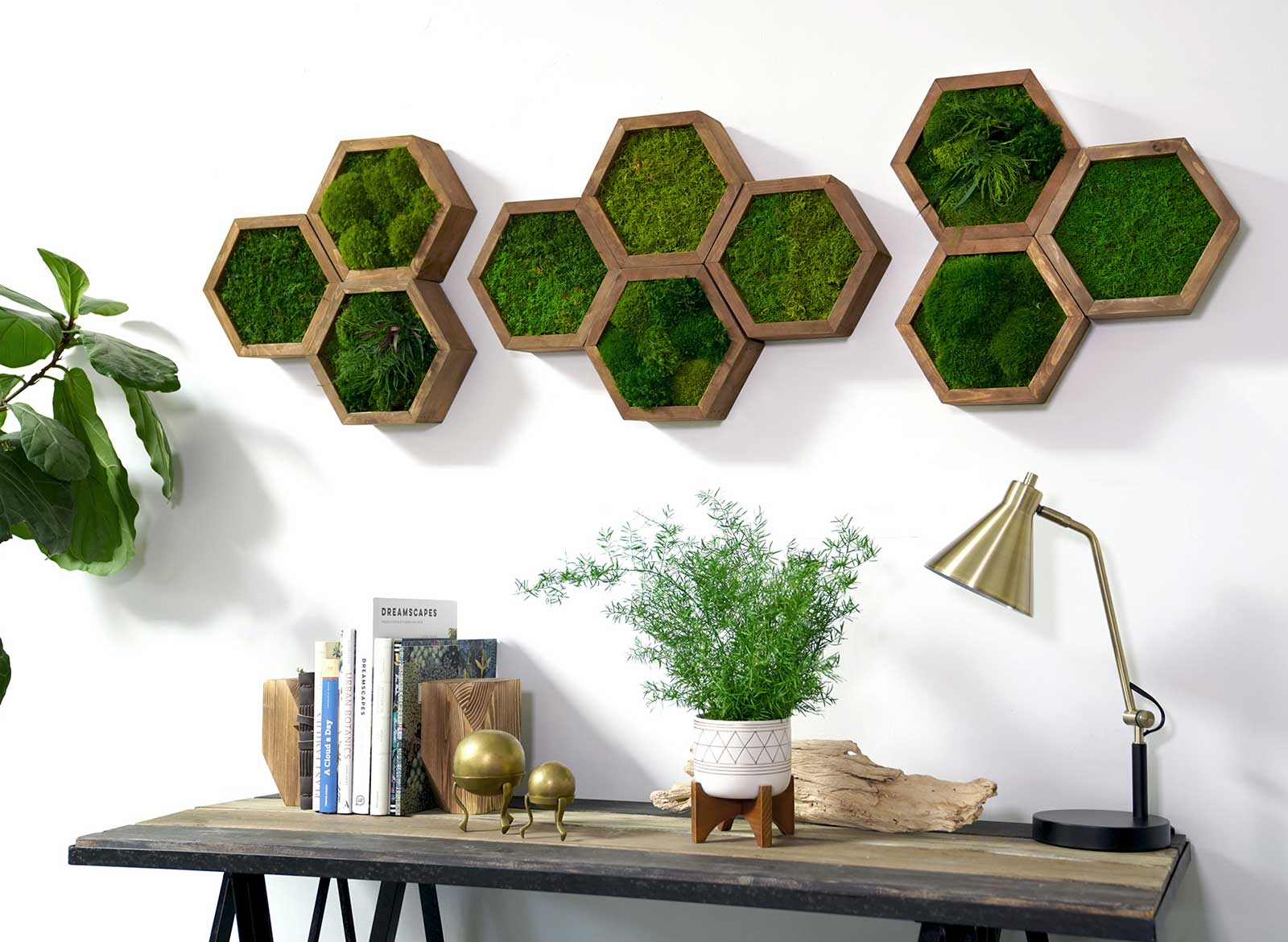 Framed Hexagon Moss Wall Art