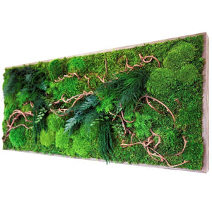 large moss art curly vine