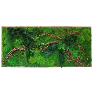 moss wall art with vines and ferns