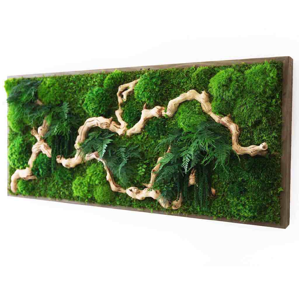 Preserved Moss Art @ Tapster 1/24 — Lakewood Plant Company