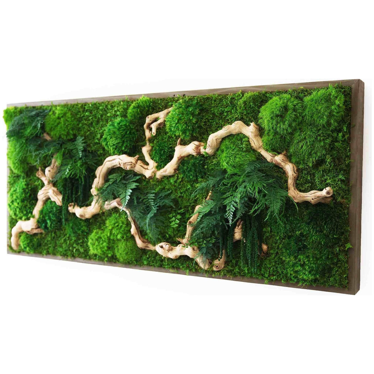 moss art with sandwood