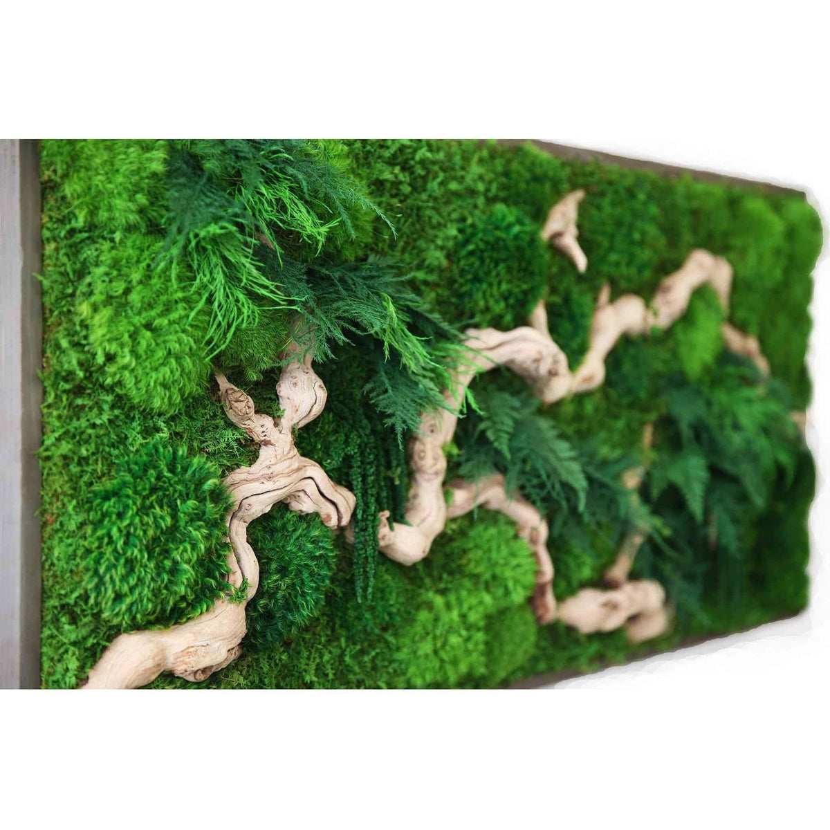 large moss art with wood