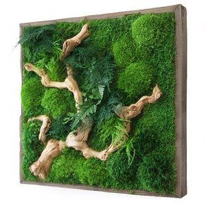 Moss Art with Sandwood in frame