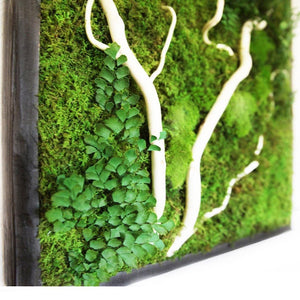 moss art with white wood branches