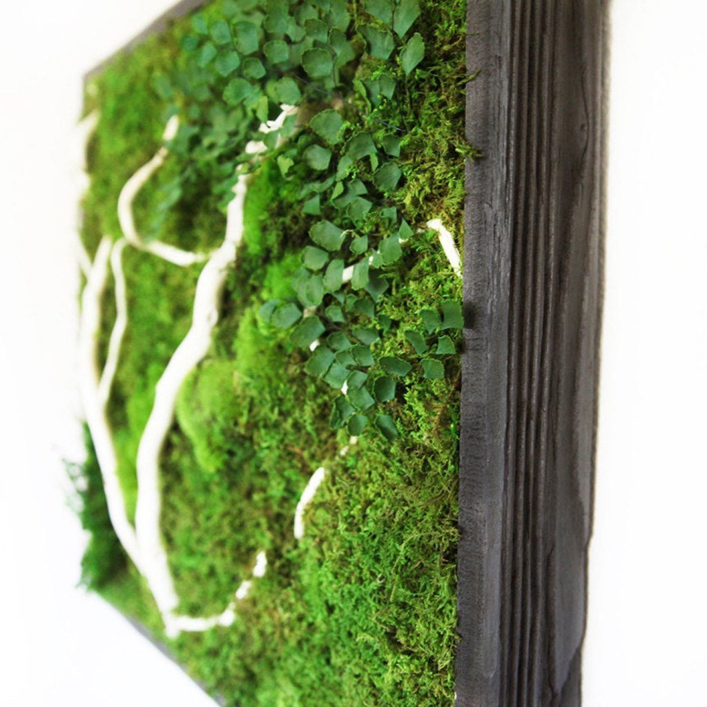 Moss with White Winding Branch 18 X 18