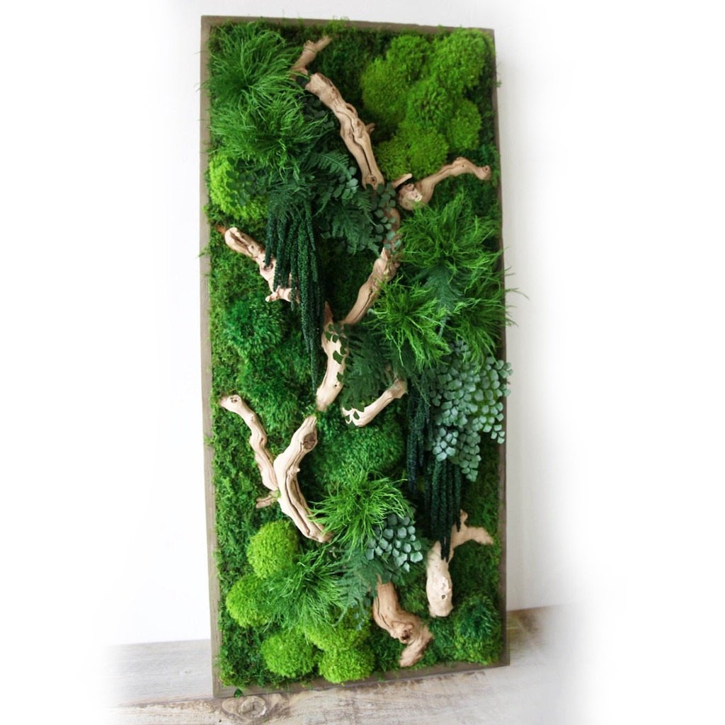 Living Moss Wall Art w/Amaranthus – LottaCoco Creation's LLC