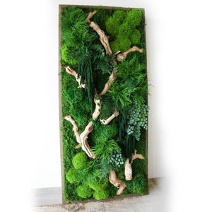 Moss Art with Sandwood