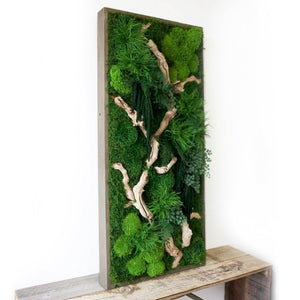 Moss Art, ferns & Sandwood Branch