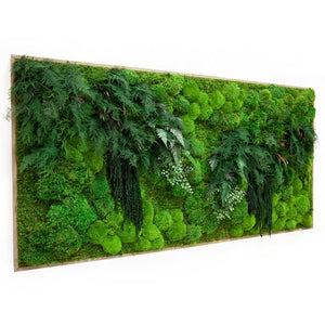 Moss Art, White Branches & Ferns 70" X 36"