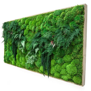 Large Moss Art, White Branches & Ferns 70" X 36"