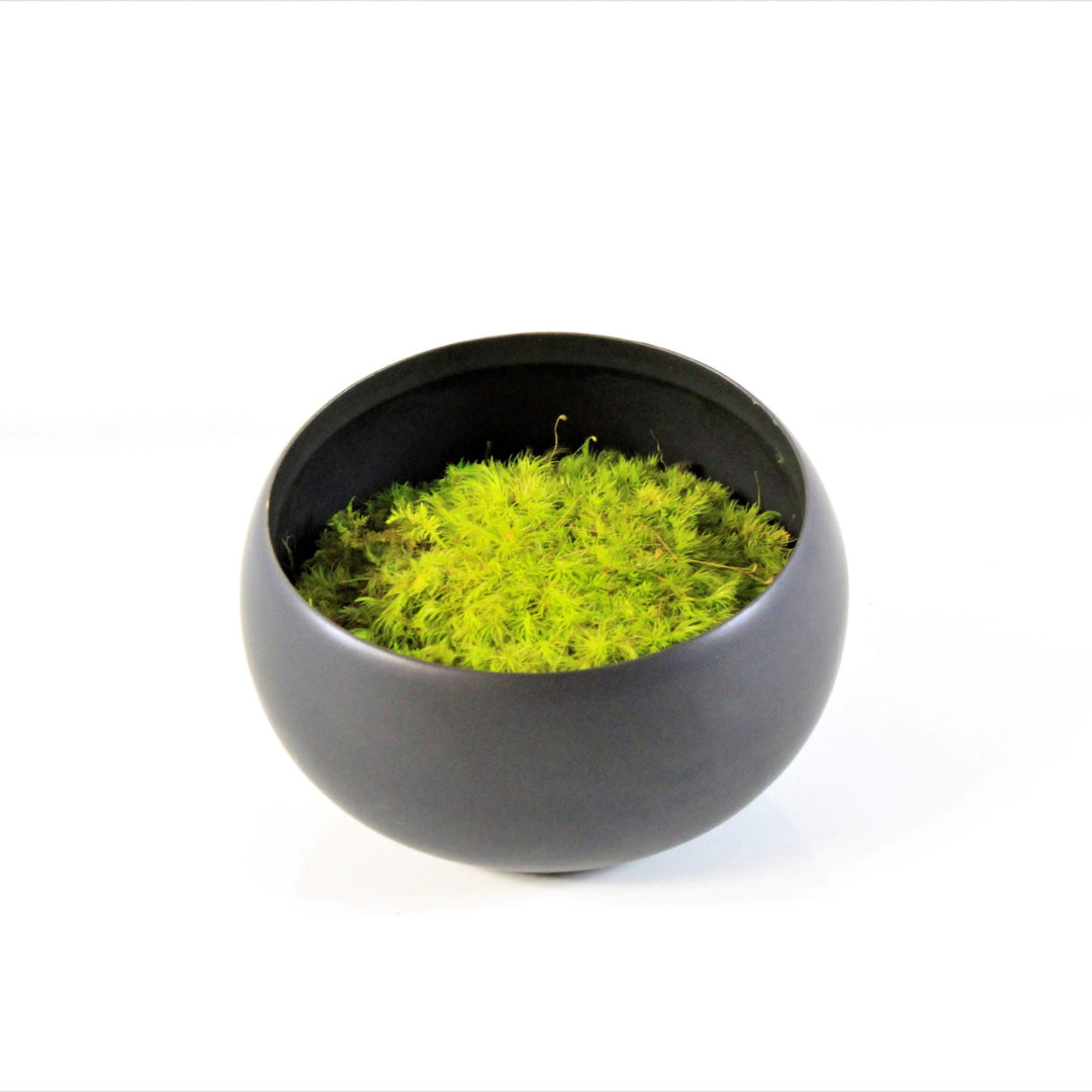 Autumn Embrace Moss Bowl Centerpiece – Moss Acres
