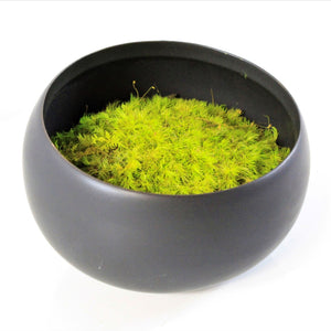 lime bun moss in black bowl