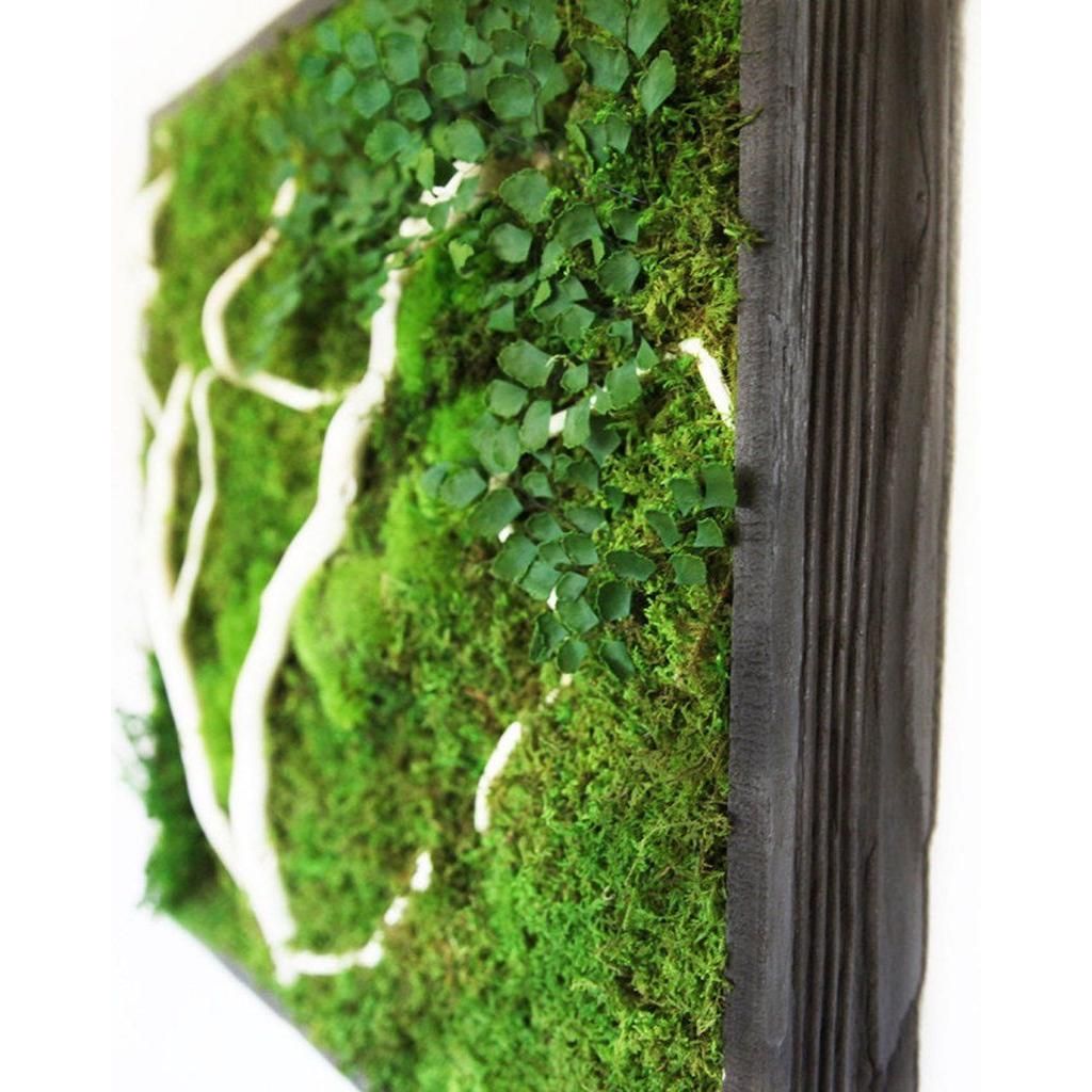 White winding branch painting in rustic grey frame with moss and ferns.