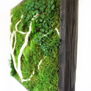 moss art with white wood